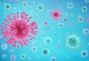 TRANSNET NATIONAL LOCK DOWN INFORMATION