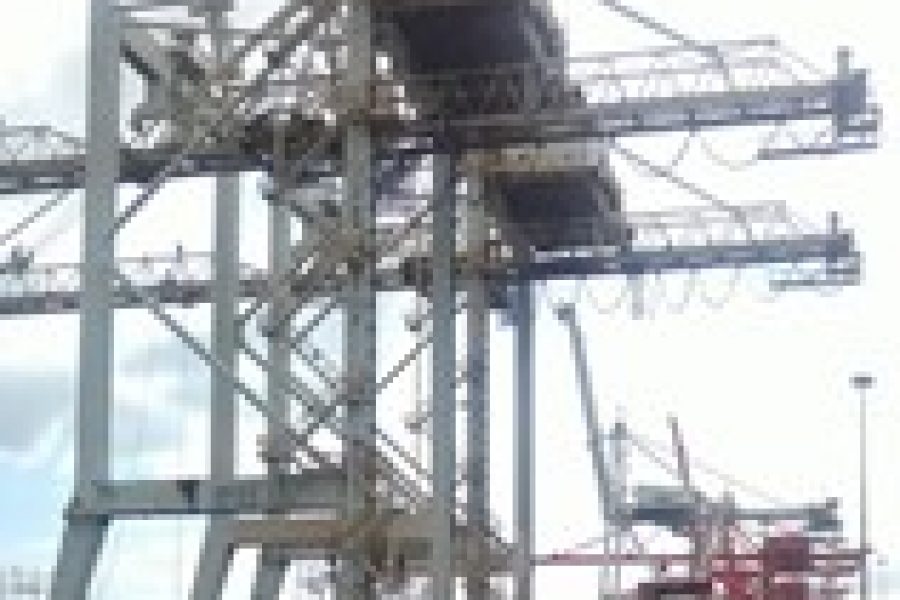 INVESTIGATING OFFICERS INCAPABLE OF FINDING TAXI VIOLENCE CULPRIT