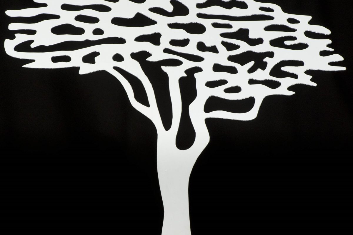 NOMINATE YOUR CANDIDATE FOR THE MOST PROMISING TUR UP TO DATE