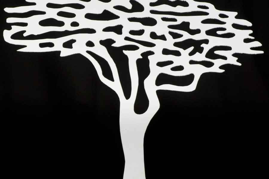 NOMINATE YOUR CANDIDATE FOR THE MOST PROMISING TUR UP TO DATE