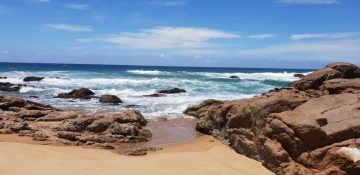 UNTU PALMS: BEAUTY AND TRANQUILLITY AWAITS YOU