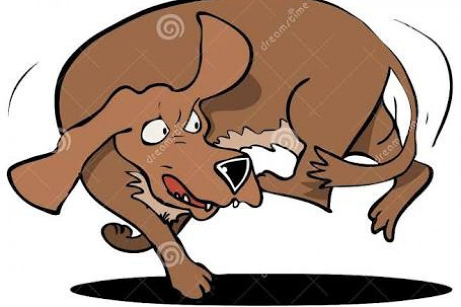 NUMSA IS LIKE A DOG CHASING ITS TAIL