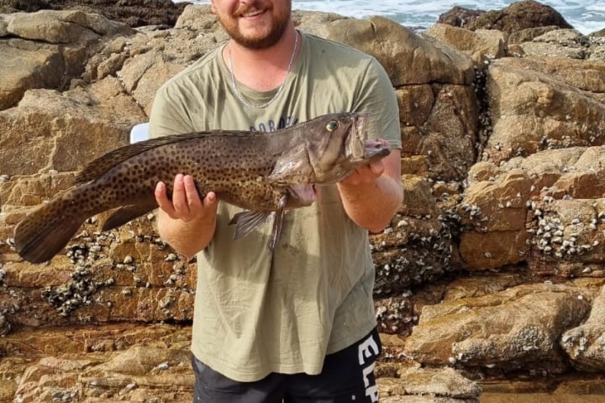 PRETORIAN CAUGHT COLOSSAL ROCK COD AT #UNTU PALMS